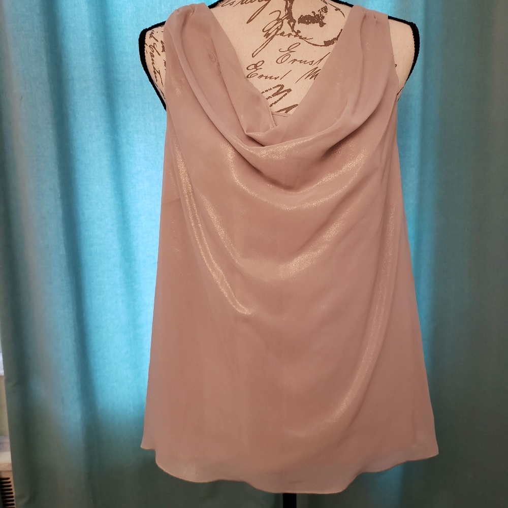 Gorgeous NWOT dusty beige sheer top size M
